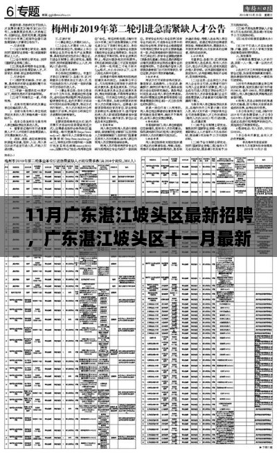 广东湛江坡头区11月最新招聘深度解析与岗位介绍