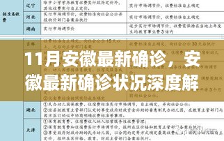 安徽最新确诊状况深度解析，特性、体验、竞品对比及用户群体全面剖析