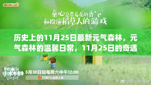 元气森林的温馨日常与奇遇记，11月25日的独特历史印记