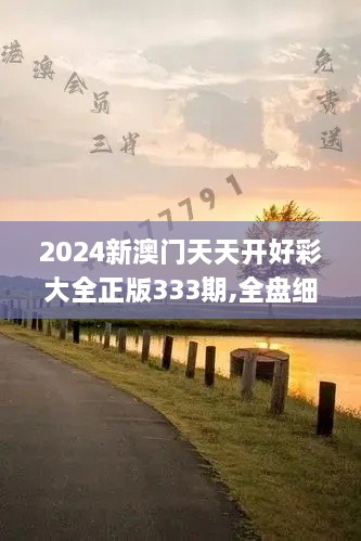 2024新澳门天天开好彩大全正版333期,全盘细明说明_随行版FUT11.26