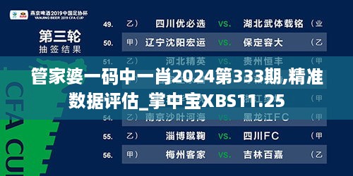 管家婆一码中一肖2024第333期,精准数据评估_掌中宝XBS11.25