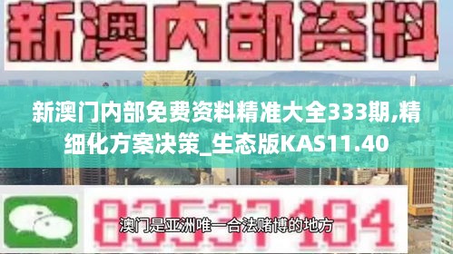 新澳门内部免费资料精准大全333期,精细化方案决策_生态版KAS11.40