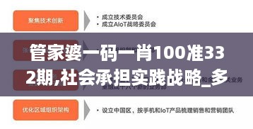 管家婆一码一肖100准332期,社会承担实践战略_多元文化版LAX11.37