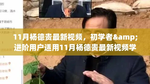 杨德贵最新视频学习指南，初学者与进阶用户全攻略