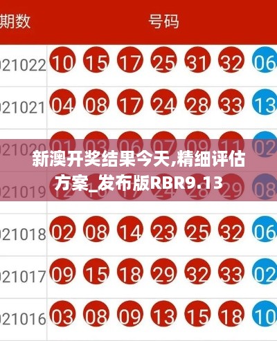 新澳开奖结果今天,精细评估方案_发布版RBR9.13