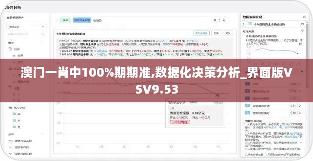 澳门一肖中100%期期准,数据化决策分析_界面版VSV9.53