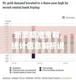 新澳精准资料,统计信息解析说明_云技术版RCE9.22