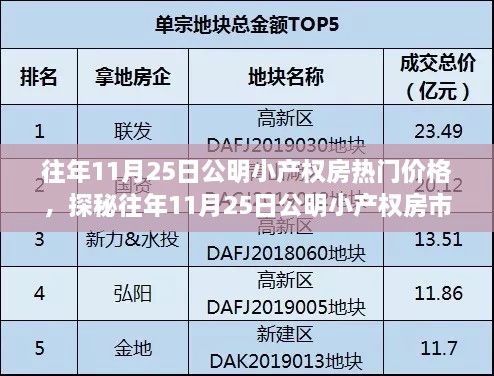 往年11月25日公明小产权房市场探秘，小巷房产宝藏与独特小店之旅的揭秘之旅