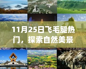 11月25日飞毛腿热门，探索自然美景之旅，跟随飞毛腿，在11月25日寻找内心的宁静与平和