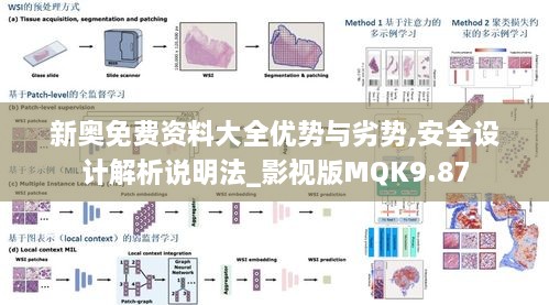 新奥免费资料大全优势与劣势,安全设计解析说明法_影视版MQK9.87