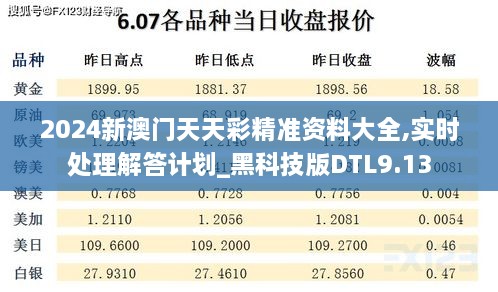 2024新澳门天天彩精准资料大全,实时处理解答计划_黑科技版DTL9.13