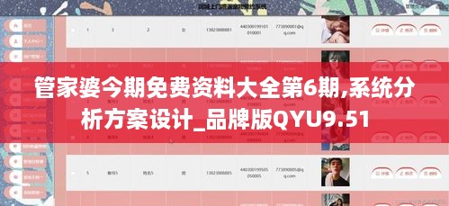 管家婆今期免费资料大全第6期,系统分析方案设计_品牌版QYU9.51