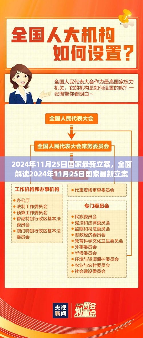 国家最新立案解读，2024年11月25日全新立案内容分析