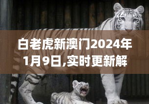 白老虎新澳门2024年1月9日,实时更新解释介绍_时空版UUW9.41