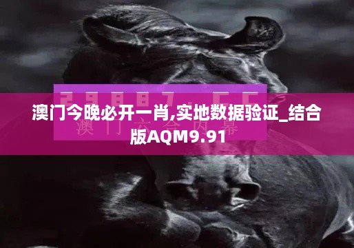 澳门今晚必开一肖,实地数据验证_结合版AQM9.91