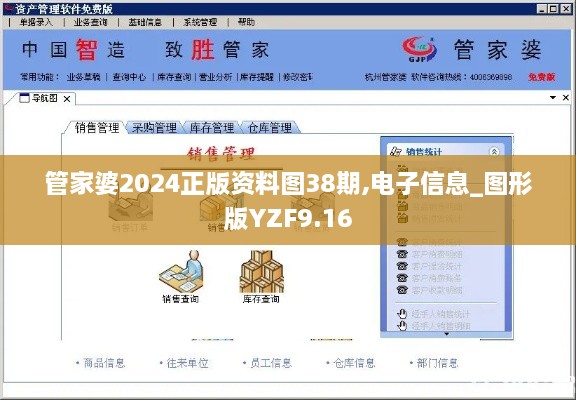 管家婆2024正版资料图38期,电子信息_图形版YZF9.16