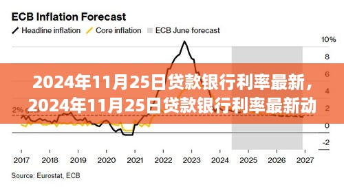 2024年11月25日贷款银行利率最新动向，深入分析与个人观点