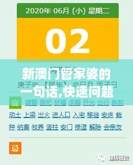 新澳门管家婆的一句话,快速问题处理_科技版GUV9.36