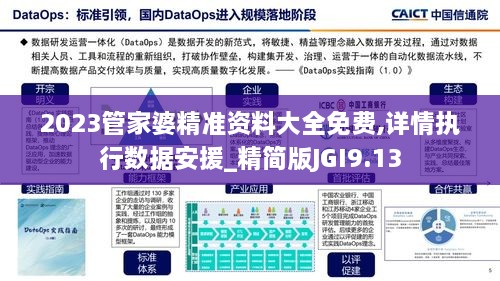 2023管家婆精准资料大全免费,详情执行数据安援_精简版JGI9.13