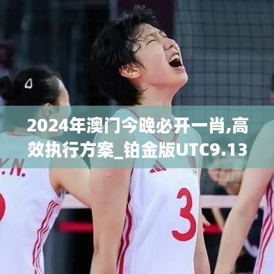 2024年澳门今晚必开一肖,高效执行方案_铂金版UTC9.13