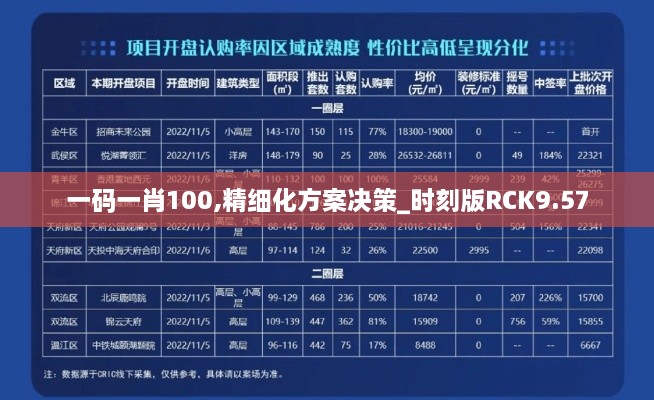 一码一肖100,精细化方案决策_时刻版RCK9.57