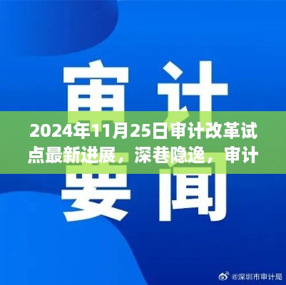 审计改革试点新进展与特色小店探秘，深巷隐逸中的变革篇章——2024年11月25日最新报道