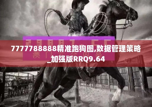 7777788888精准跑狗图,数据管理策略_加强版RRQ9.64