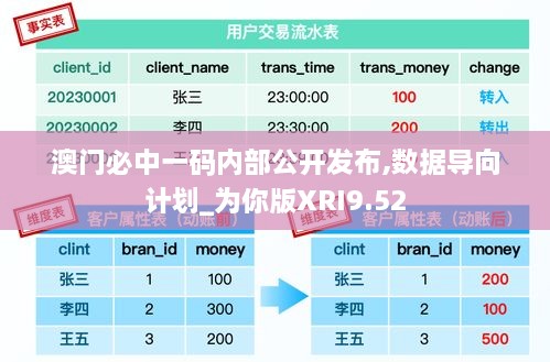 澳门必中一码内部公开发布,数据导向计划_为你版XRI9.52