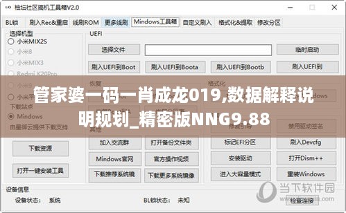 管家婆一码一肖成龙019,数据解释说明规划_精密版NNG9.88