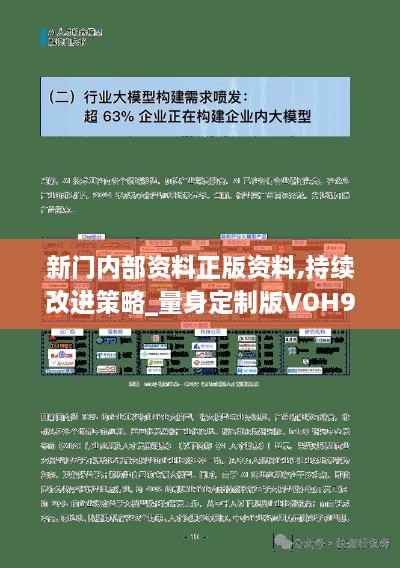 新门内部资料正版资料,持续改进策略_量身定制版VOH9.59