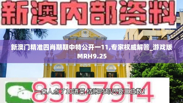 新澳门精准四肖期期中特公开一11,专家权威解答_游戏版MRH9.25