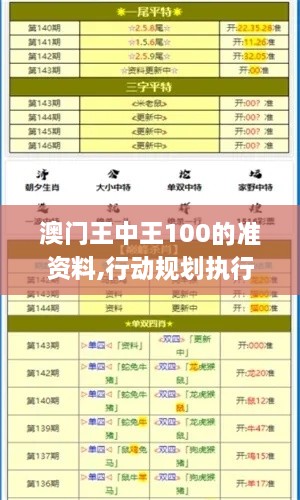 澳门王中王100的准资料,行动规划执行_百搭版DZB9.33