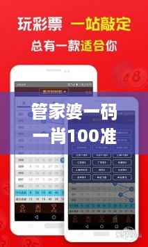 管家婆一码一肖100准333期,科学解释分析_定义版LPE11.24