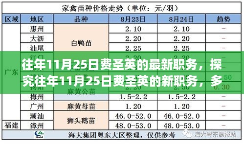 往年11月25日费圣英的最新职务，探究往年11月25日费圣英的新职务，多维度视角下的观察与解析