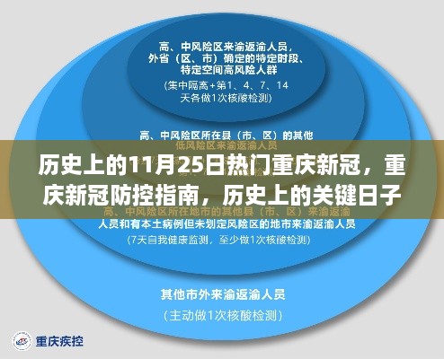 历史上的关键日子与防控措施详解，重庆新冠防控指南及历史疫情回顾，11月25日特殊时刻回顾