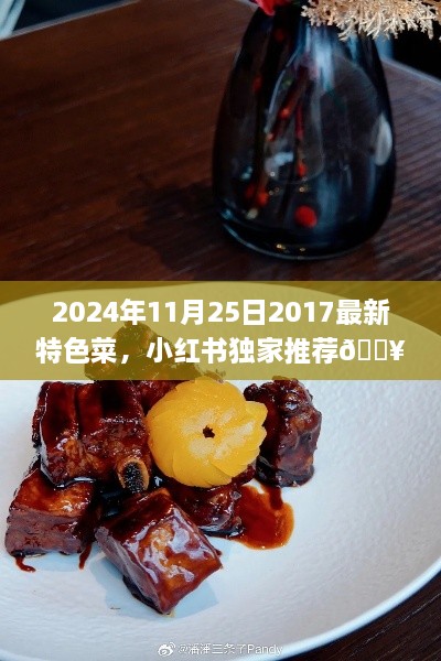 2024年尝鲜指南，小红书独家推荐2017最新特色菜，风味传奇不容错过