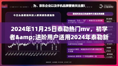 泰勒新歌MV观看全攻略，初学者与进阶用户指南（2024年11月版）