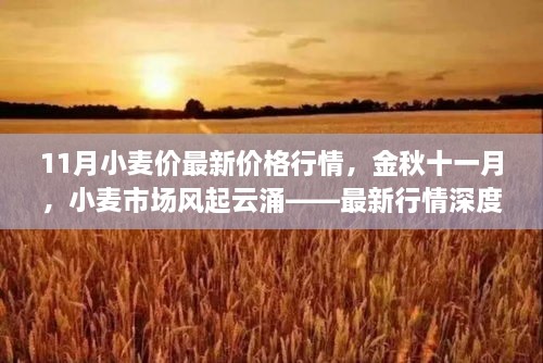 11月小麦价最新价格行情，金秋十一月，小麦市场风起云涌——最新行情深度解析