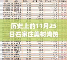 石家庄美树湾风云，历史上的热门动态回顾（11月25日篇）