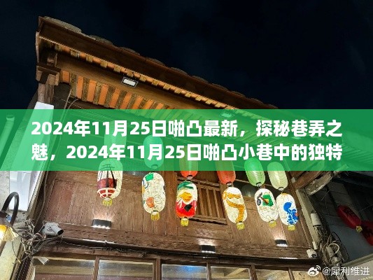 探秘巷弄之魅，2024年11月25日啪凸小巷的独特小店揭秘