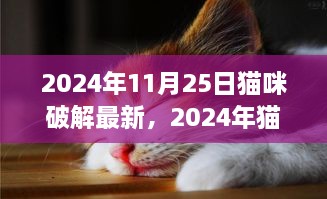 揭秘猫咪新技能，破解高手养成记（2024年最新更新）