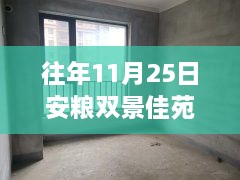 安粮双景佳苑房价变迁背后的故事，励志源泉与成长自信之源的探寻往年最新房价动态。