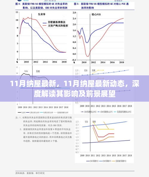 深度解读，11月纳屋最新动态及其影响与前景展望