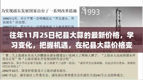 杞县大蒜价格变迁见证自信与成就的诞生，历年11月25日最新价格分析与学习机遇探讨