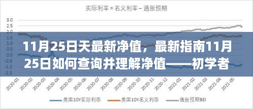 11月25日最新净值解析与查询指南，适用于初学者与进阶用户的步骤教程