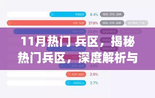 揭秘与深度解析，11月热门兵区用户体验报告
