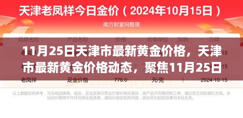 天津黄金价格动态，聚焦最新金价走势分析（11月25日）