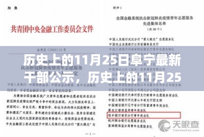 历史上的11月25日阜宁干部公示揭秘，最新公示背后的故事浮出水面