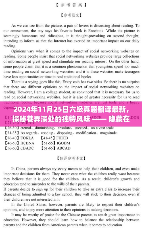 探秘巷弄深处的独特风味，巷子深处的秘密小店（2024年11月25日六级真题翻译）