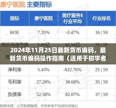 2024年最新货币编码操作指南，初学者与进阶用户必读